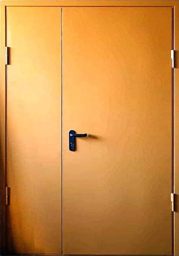 Противопожарная дверь Celsium-90-9 (Противопожарная нитроэмаль)
